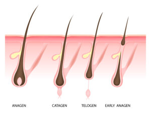 Epilazione laser Legnago